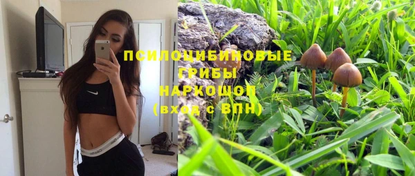 прущие крисы Нея