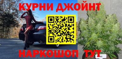 гидра Пушкино
