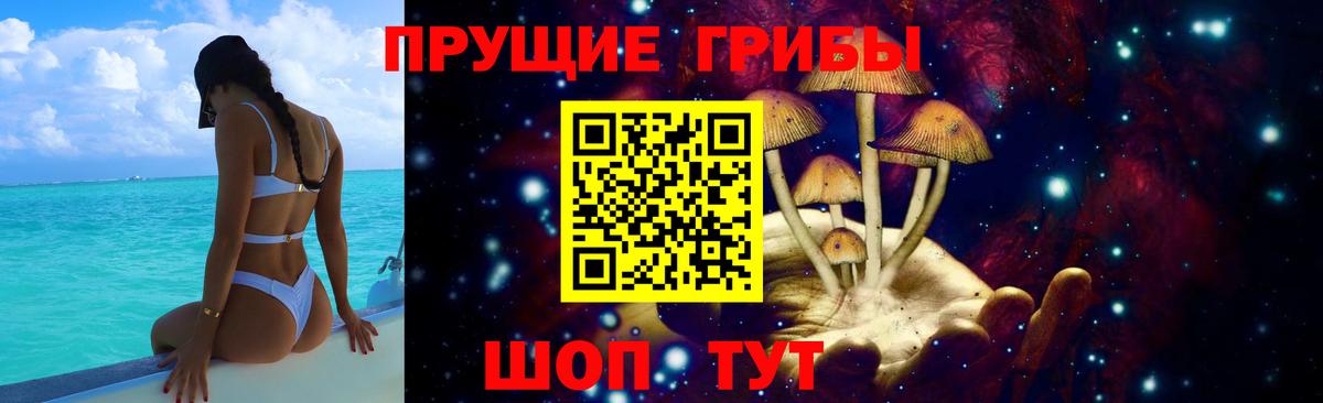 Янаул  Галлюциногенные грибы Cubensis  Вход с VPN 